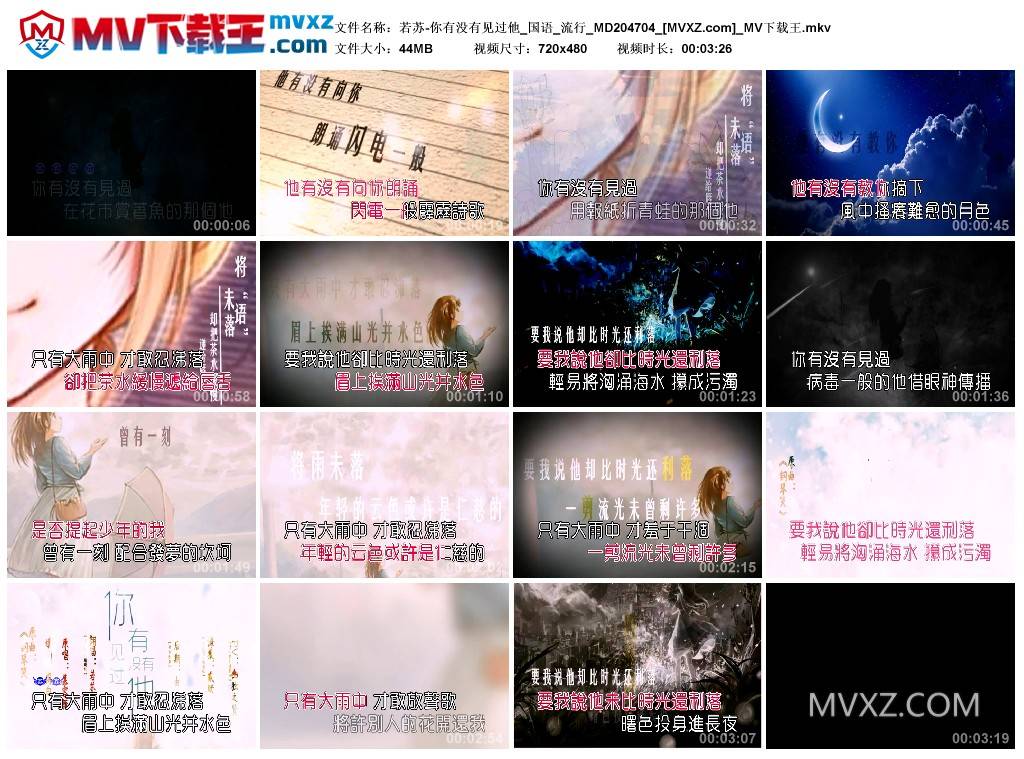 若苏-你有没有见过他_国语_流行_MD204704